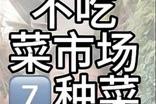 ?此前杨毅预测季中锦标赛四强球队：绿军、国王、尼克斯、太阳